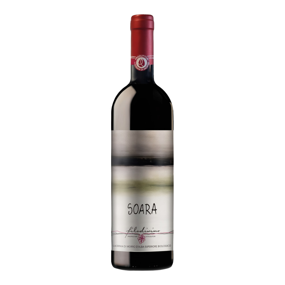 Filodivino, Lacrima di Morro d'Alba Superiore Soara 2015, Bottiglia 750 ml